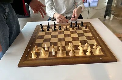 THE BUTTERFLY ESSAYS