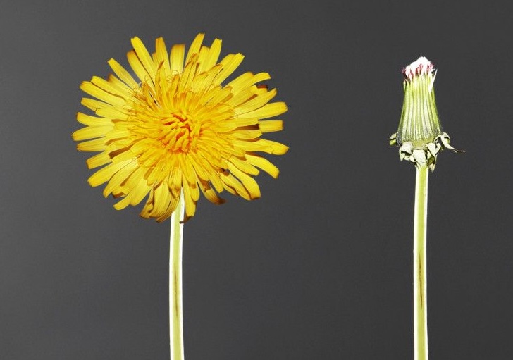 THE MOMENT YOU REALIZE: YOU’VE&nbsp;CHANGED